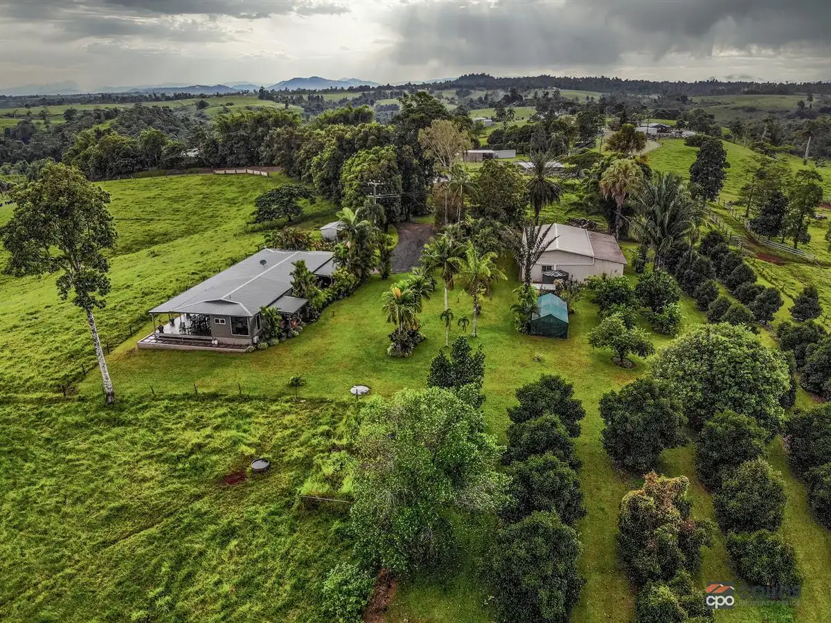 Main view of Homely house listing, 118 Ducrot Road, Upper Daradgee QLD 4860
