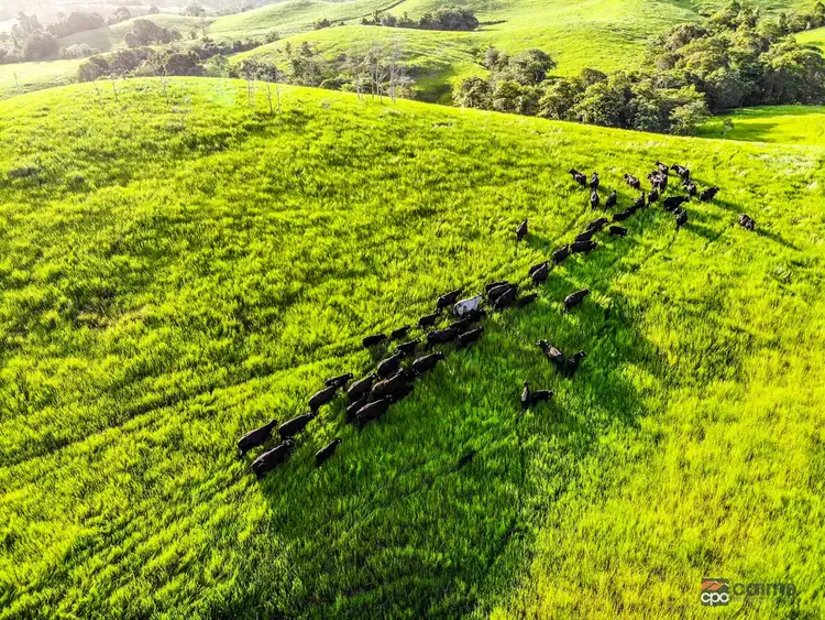 Second view of Homely house listing, 118 Ducrot Road, Upper Daradgee QLD 4860