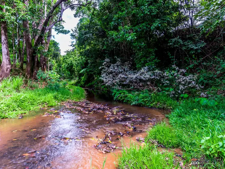 Fourth view of Homely house listing, 118 Ducrot Road, Upper Daradgee QLD 4860