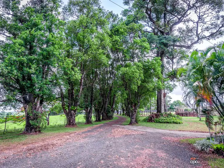 Fifth view of Homely house listing, 118 Ducrot Road, Upper Daradgee QLD 4860