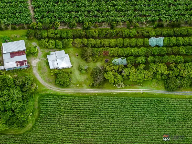 Sixth view of Homely rural property listing, 69325 Bruce Highway, Fishery Falls QLD 4871