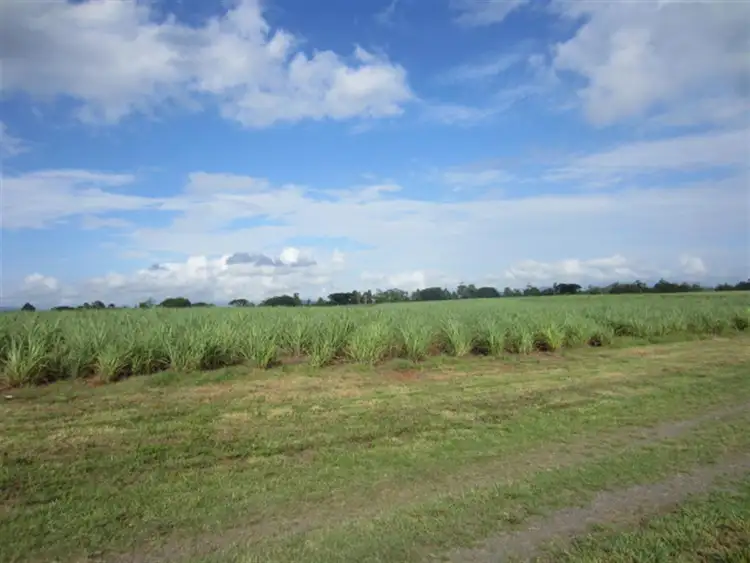 Second view of Homely rural property listing, 000 Bruce Highway, Mourilyan QLD 4858