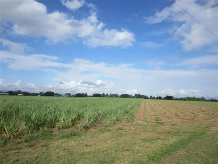 Third view of Homely rural property listing, 000 Bruce Highway, Mourilyan QLD 4858