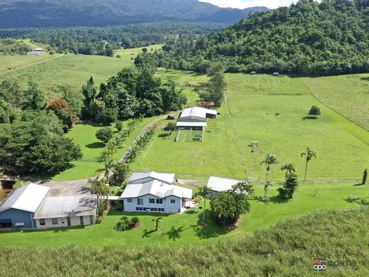 58 Healy Road, Mirriwinni QLD 4871