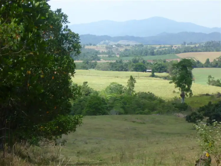 Second view of Homely rural property listing, 493 Number Six Branch, South Johnstone QLD 4859