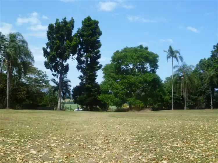 Third view of Homely rural property listing, 493 Number Six Branch, South Johnstone QLD 4859