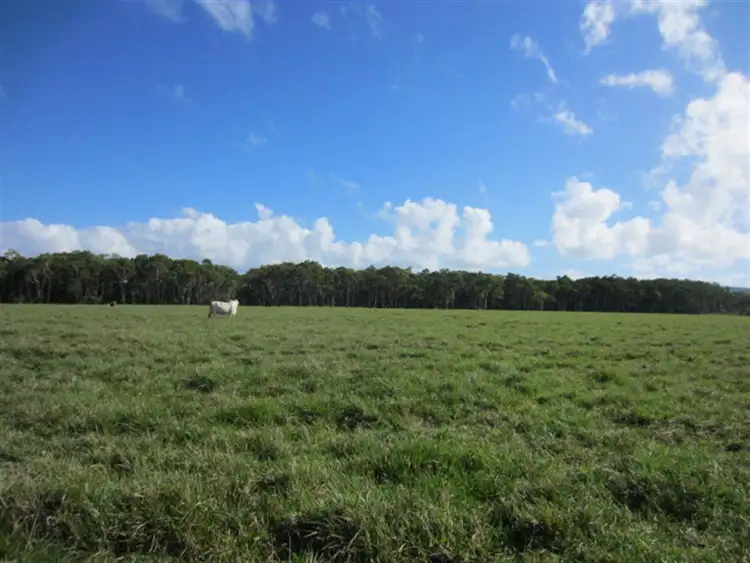 Seventh view of Homely rural property listing, 64000 Bruce Highway, Mourilyan QLD 4858