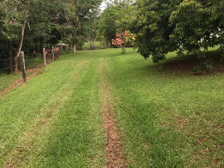 Sixth view of Homely rural property listing, 65938 Bruce Highway, Innisfail QLD 4860