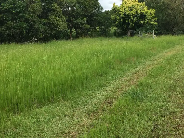Seventh view of Homely rural property listing, 65938 Bruce Highway, Innisfail QLD 4860