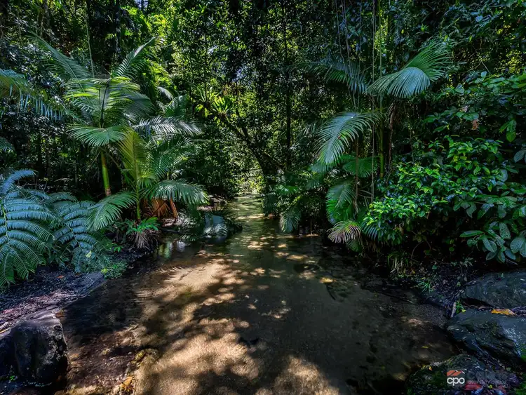 Sixth view of Homely rural property listing, 376 Kruckow Road, Babinda QLD 4861