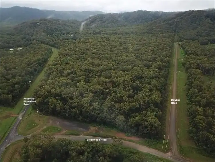 Third view of Homely land listing, LOT 46, Lot 46 Bloomfield Road, Bloomfield QLD 4895
