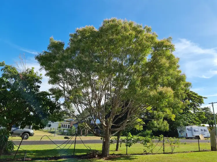 Sixth view of Homely land listing, 11 Bay Road, Coconuts QLD 4860