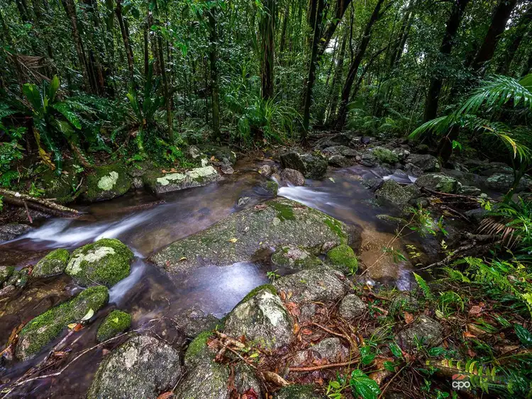 Second view of Homely rural property listing, Lots 1 & 3/634 Kruckow Road, Babinda QLD 4861