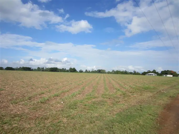 Fourth view of Homely rural property listing, Lot 12 Ninds Creek Road, Mourilyan QLD 4858