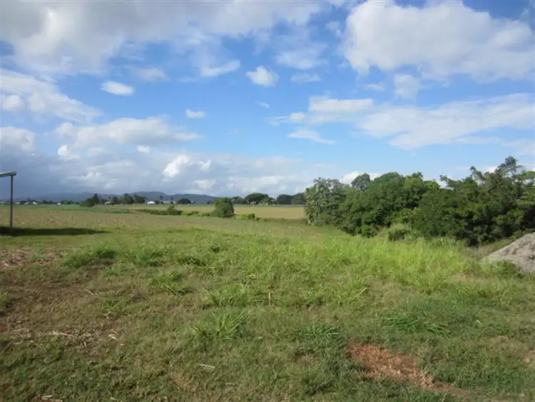 Fifth view of Homely rural property listing, Lot 12 Ninds Creek Road, Mourilyan QLD 4858