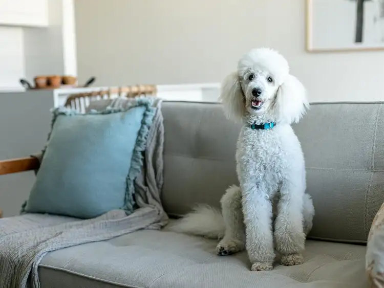 Sixth view of Homely apartment listing, 1004/1 Marlin Parade, Cairns City QLD 4870