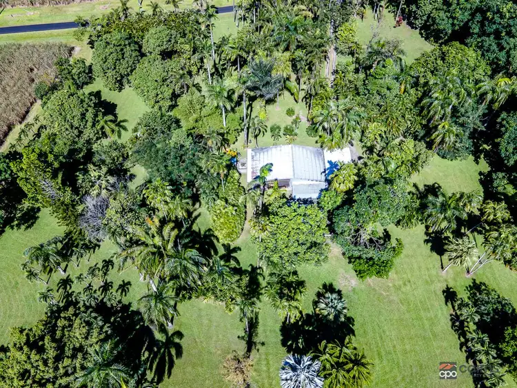 Seventh view of Homely rural property listing, 35 Munro Road, Bellenden Ker QLD 4871