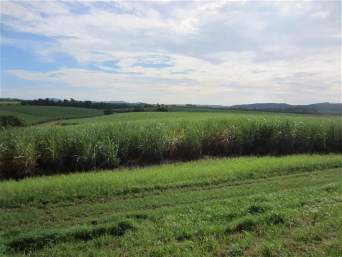 Main view of Homely rural property listing, Lot 4 Utchee Creek Road, Mena Creek QLD 4871