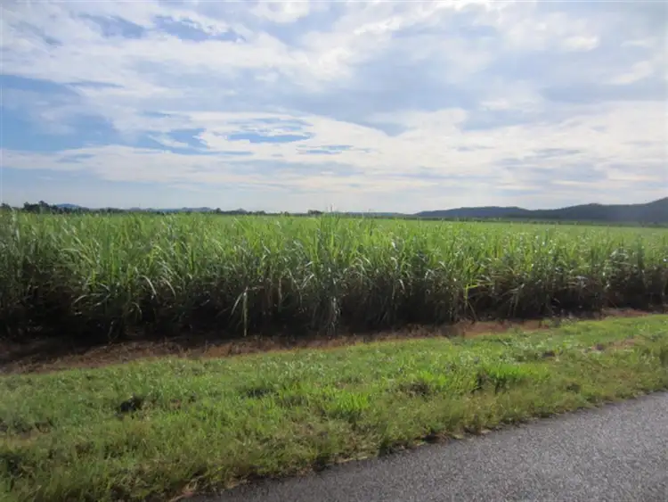 Second view of Homely rural property listing, Lot 4 Utchee Creek Road, Mena Creek QLD 4871