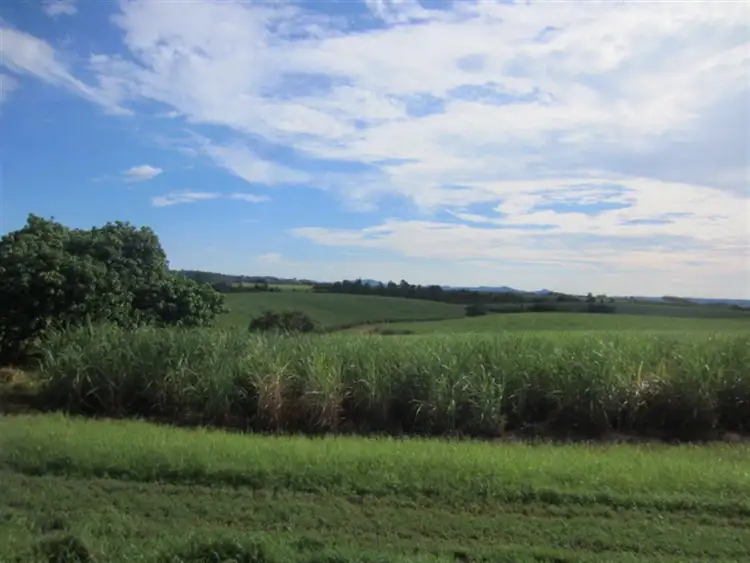 Third view of Homely rural property listing, Lot 4 Utchee Creek Road, Mena Creek QLD 4871