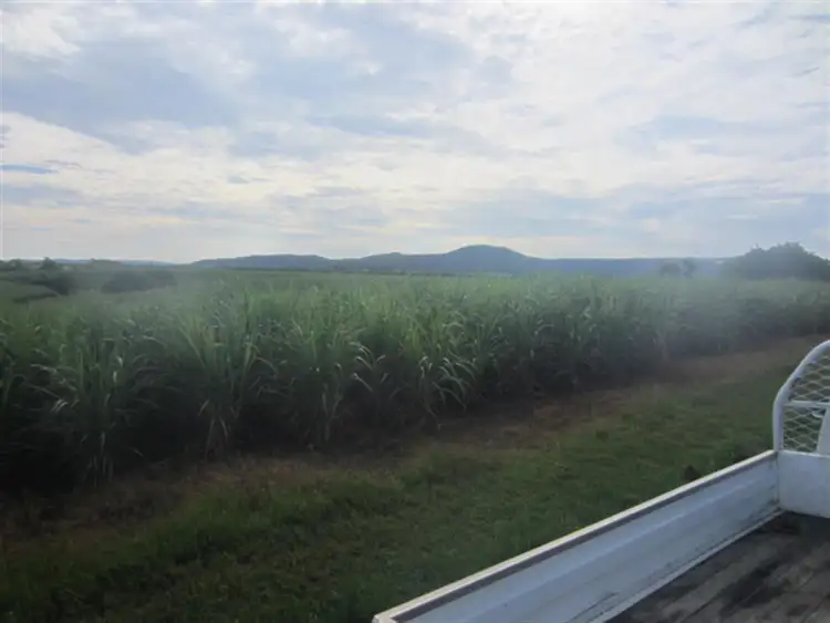 Fourth view of Homely rural property listing, Lot 4 Utchee Creek Road, Mena Creek QLD 4871