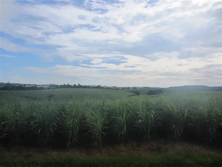 Fifth view of Homely rural property listing, Lot 4 Utchee Creek Road, Mena Creek QLD 4871