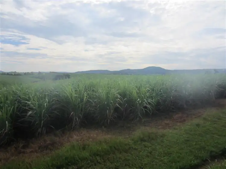 Sixth view of Homely rural property listing, Lot 4 Utchee Creek Road, Mena Creek QLD 4871