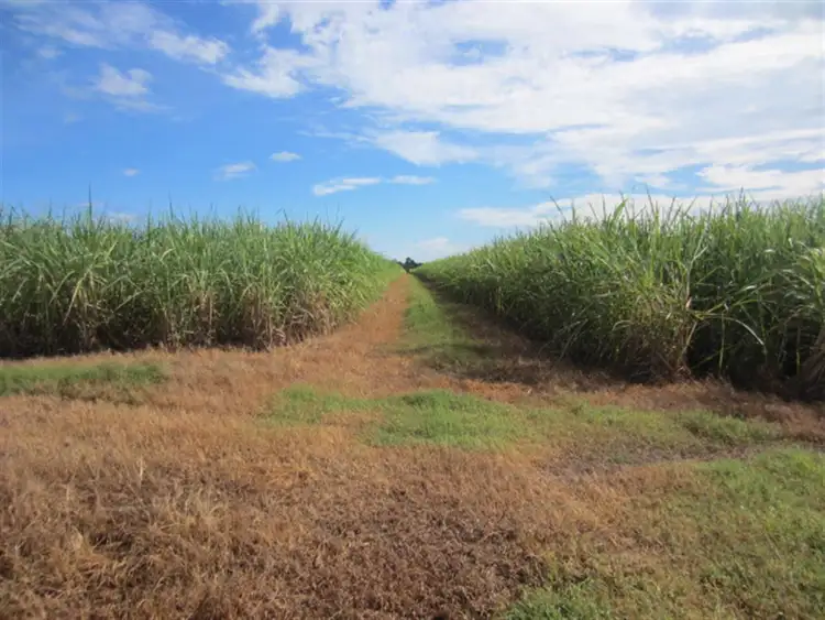 Second view of Homely rural property listing, Lot 10 Utchee Creek Road, Mena Creek QLD 4871
