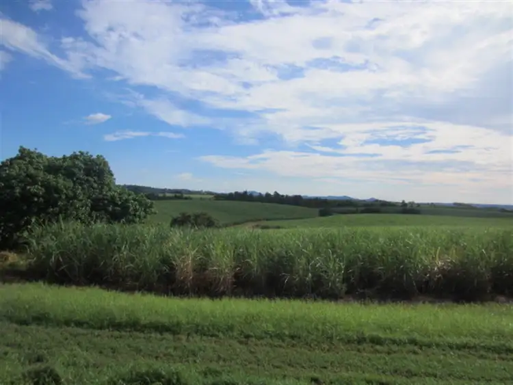 Fourth view of Homely rural property listing, Lot 10 Utchee Creek Road, Mena Creek QLD 4871