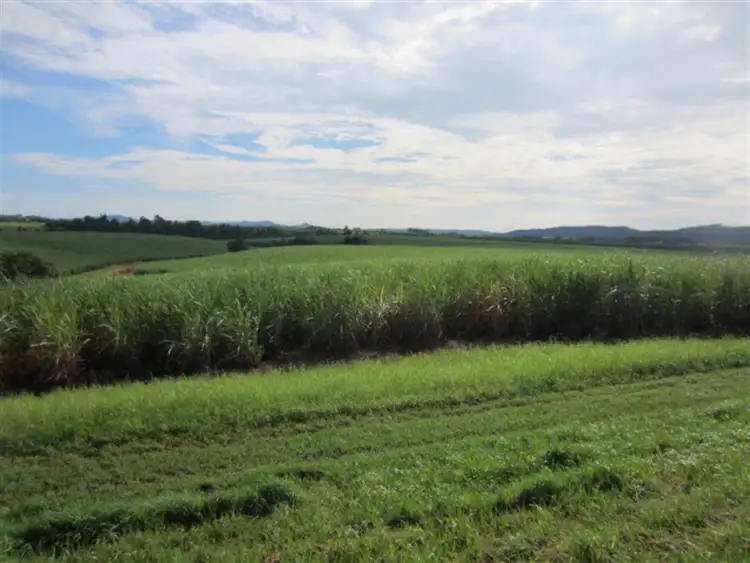 Fifth view of Homely rural property listing, Lot 10 Utchee Creek Road, Mena Creek QLD 4871