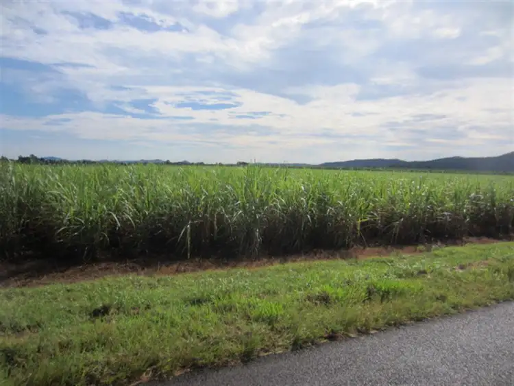 Sixth view of Homely rural property listing, Lot 10 Utchee Creek Road, Mena Creek QLD 4871