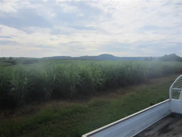 Seventh view of Homely rural property listing, Lot 10 Utchee Creek Road, Mena Creek QLD 4871