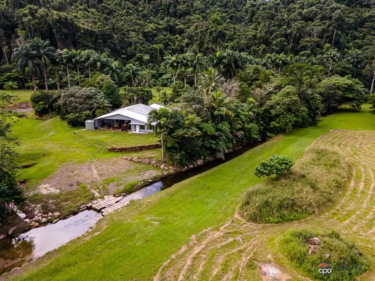Second view of Homely rural property listing, 427 Kruckow Road, Babinda QLD 4861