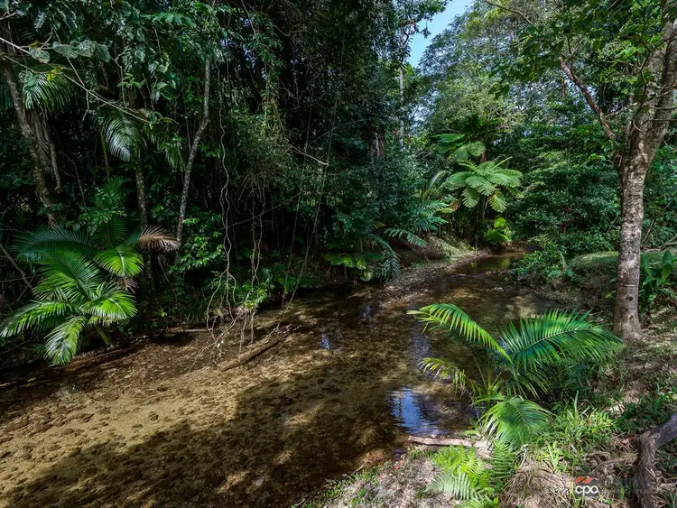 Third view of Homely rural property listing, 427 Kruckow Road, Babinda QLD 4861