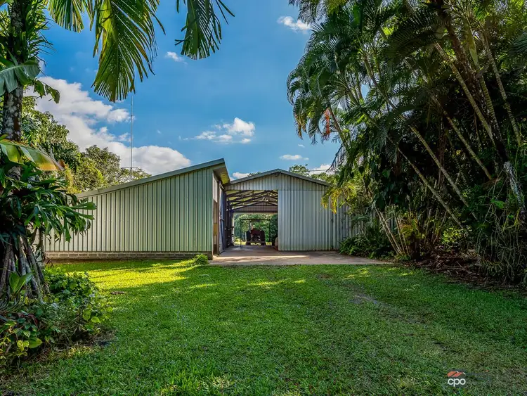 Fifth view of Homely rural property listing, 427 Kruckow Road, Babinda QLD 4861