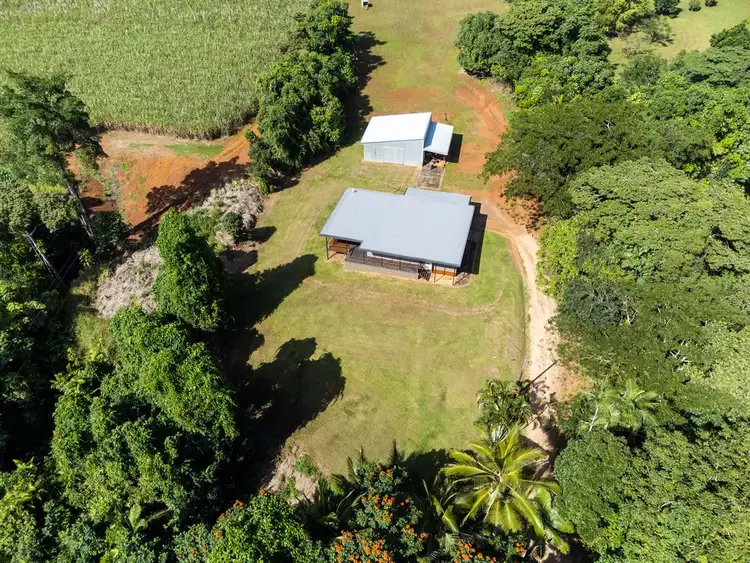 Fourth view of Homely rural property listing, 1071 Innisfail Japoon Road, Camp Creek QLD 4871