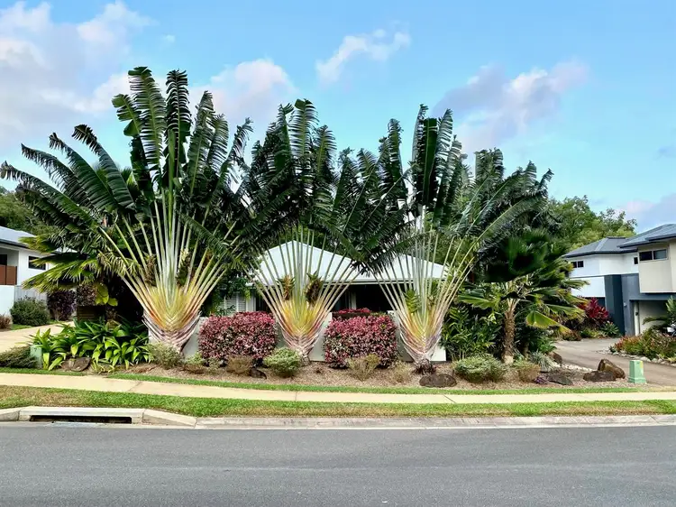 Main view of Homely house listing, 45 Freshwater Avenue, Palm Cove QLD 4879