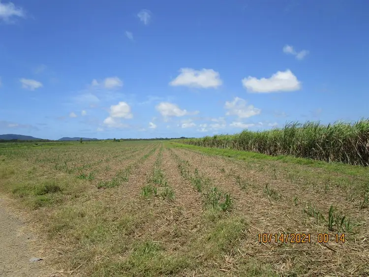 Second view of Homely rural property listing, Lot 14 Bruce Highway, Mourilyan QLD 4858