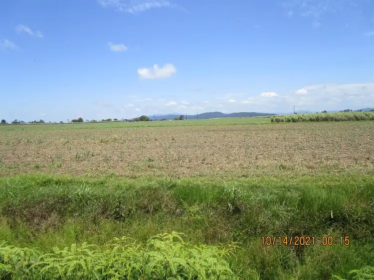 Fourth view of Homely rural property listing, Lot 14 Bruce Highway, Mourilyan QLD 4858