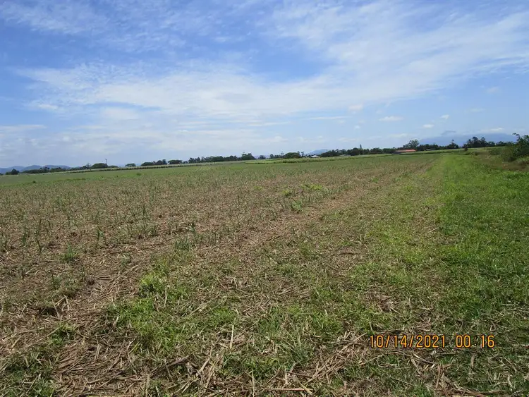 Fifth view of Homely rural property listing, Lot 14 Bruce Highway, Mourilyan QLD 4858