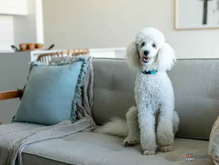 Seventh view of Homely apartment listing, 1005/1 Marlin Parade, Cairns City QLD 4870