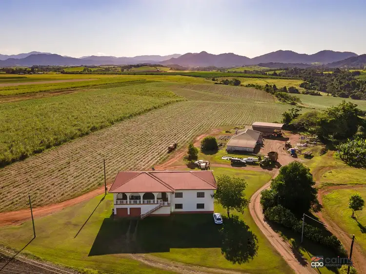 1482 Innisfail Japoon Road, Mena Creek QLD 4871