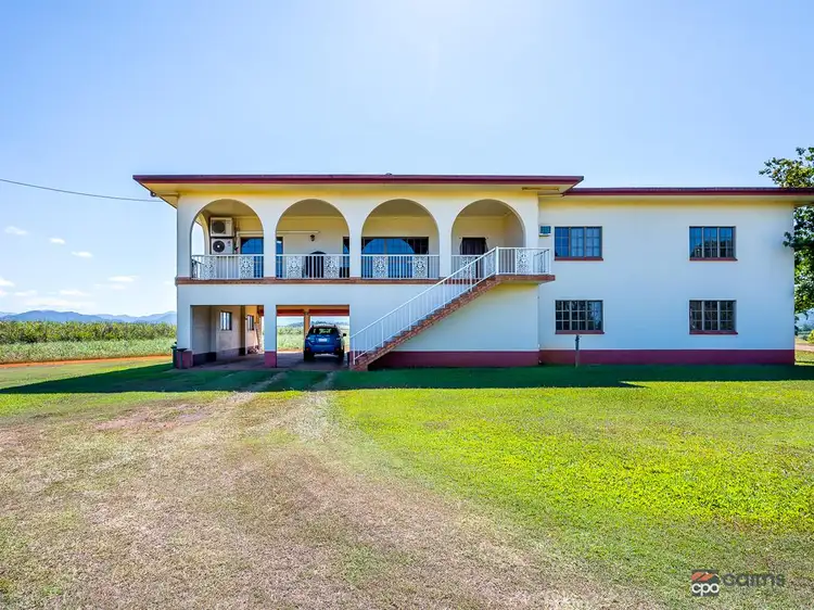Seventh view of Homely rural property listing, 1482 Innisfail Japoon Road, Mena Creek QLD 4871