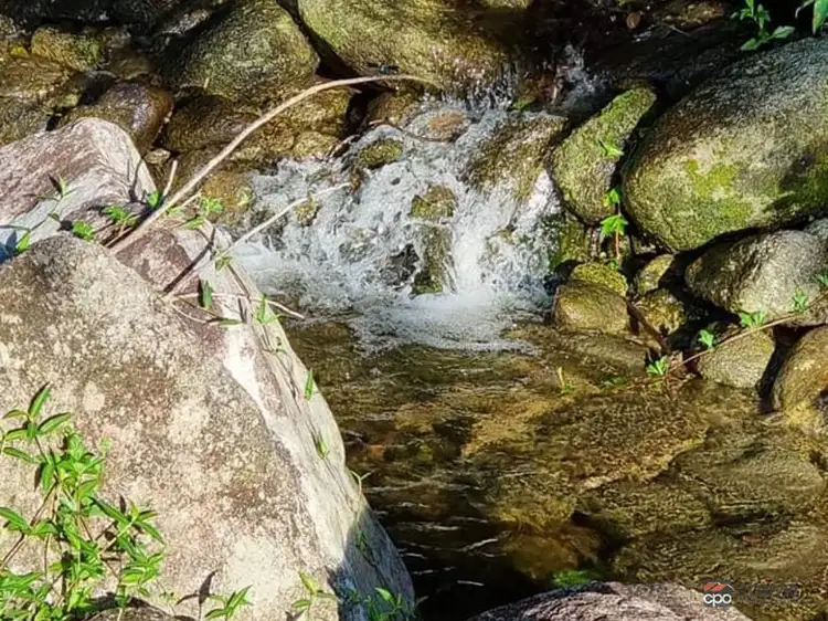 Fifth view of Homely rural property listing, 141 Telecom Road, Bellenden Ker QLD 4871