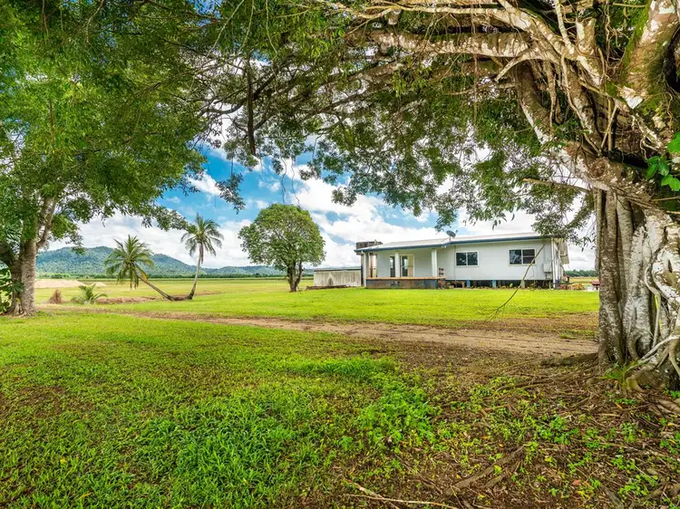 190 Cowley Creek Road, Cowley Creek QLD 4871