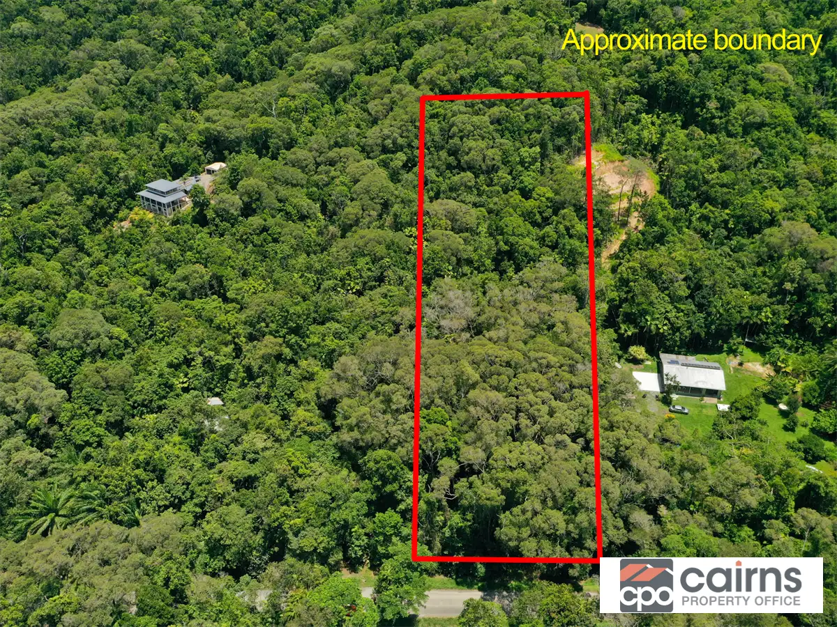 Main view of Homely land listing, 246 Forest Creek Rd, Forest Creek QLD 4873