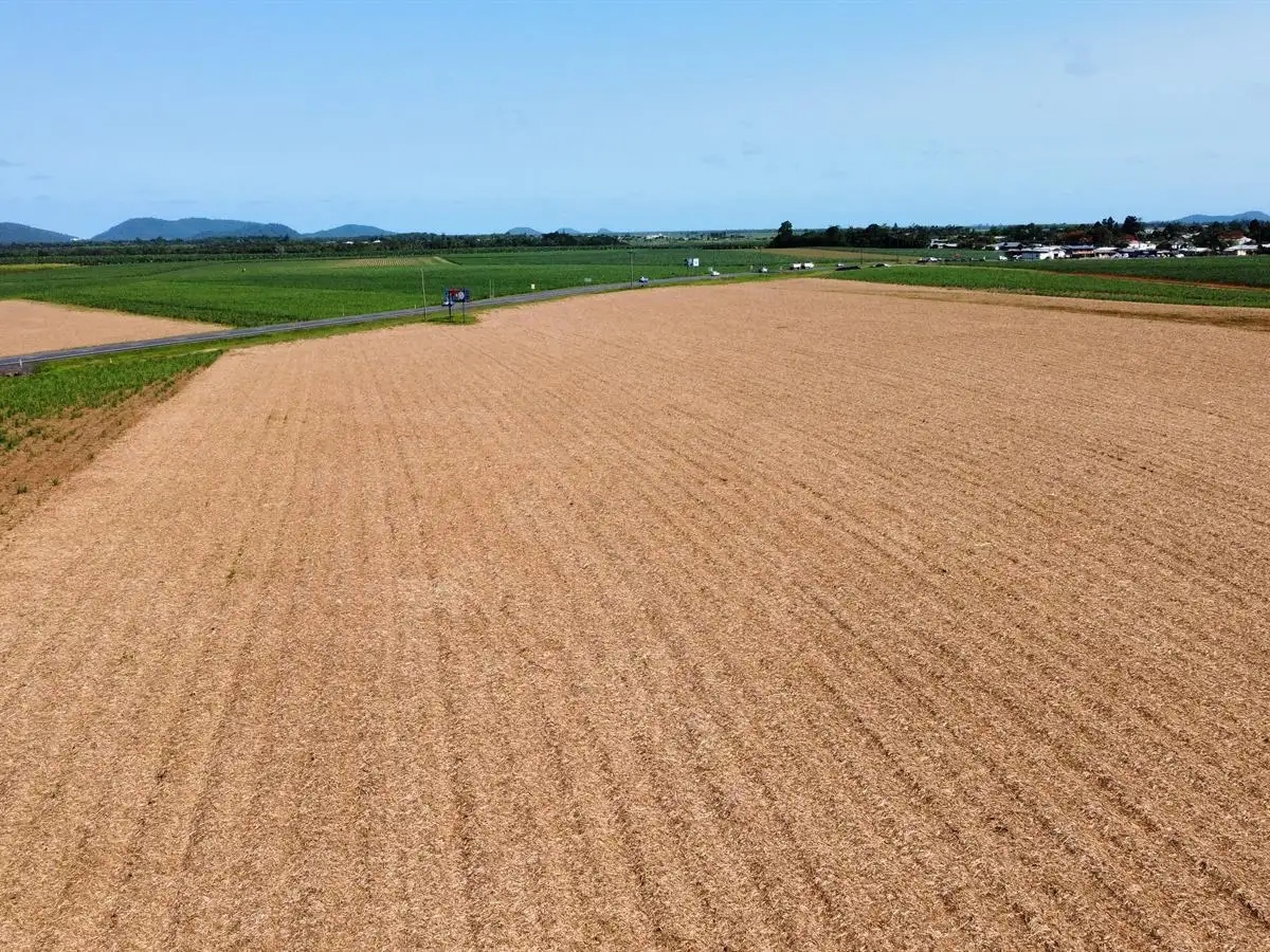 Main view of Homely rural property listing, Lot 13 Bruce Highway, Mourilyan QLD 4858