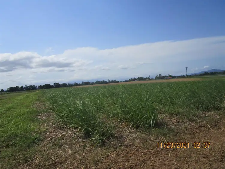 Second view of Homely rural property listing, Lot 13 Bruce Highway, Mourilyan QLD 4858