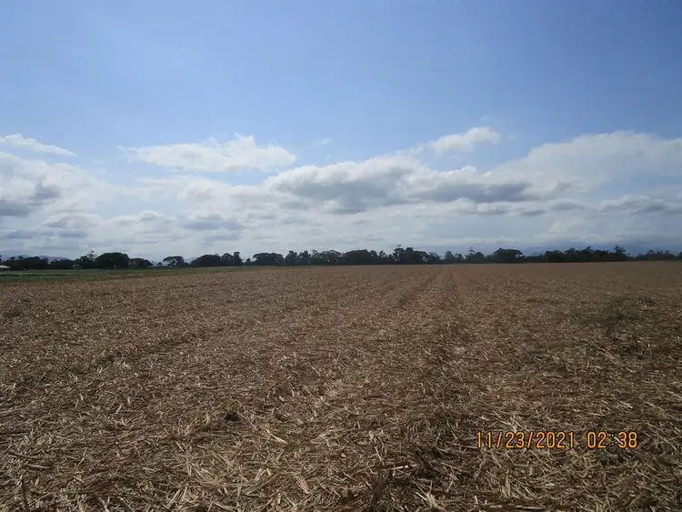 Fourth view of Homely rural property listing, Lot 13 Bruce Highway, Mourilyan QLD 4858
