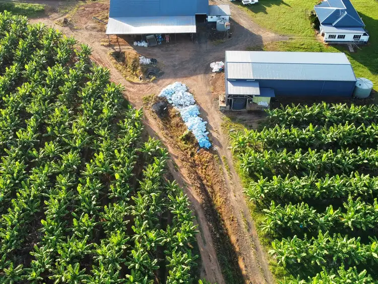 Fourth view of Homely rural property listing, 2180 Innisfail Japoon Road, Bombeeta QLD 4871